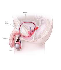 Cant Control Sex Drive Search Results - Naked Girls on Sexual Control