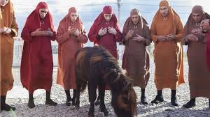 Jacky In The Kingdom Of Women 2014 France My Rating 8 4 Director Riad Sattouf In 2020 Women Kingdom I Movie