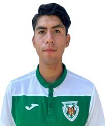 Liga TDP. Disciplinary Report: Weeks 19, 23, 24 y 26