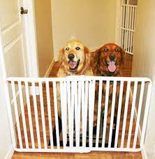 Retractable dog gates are used to separate your dog from stairs, children, or other animals. Rover Company Cat And Dog Gate 18 Inch Buy Online In Angola At Angola Desertcart Com Productid 20432407