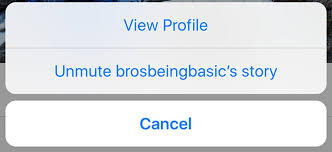 From the instagram app for iphone or android, navigate to the profile of the person or page that you want to mute. How To Mute Someone S Instagram Story