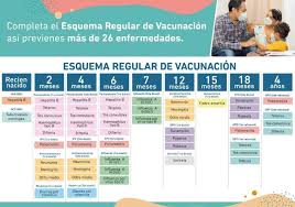 Los términos calendario de vacunación (españa y argentina), cartilla de vacunación (méxico) y esquema de inmunizaciones (venezuela), entre otros, sirven para hacer referencia al cuadro en el que se registran las vacunas aplicadas a niños y a adultos. Difteria Hoy Continua La Jornada Nacional De Vacunacion Canal N