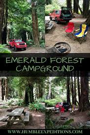 Emerald Forest Campground In Trinity California Redwood Forest California Trinidad California National Park Camping