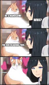 Redrew This Meme And I Found Out I Can T Draw Cats Funny Cartoon Memes Anime Funny Funny Video Memes