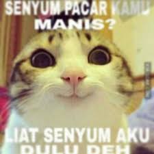 Liat Senyum Aku Dehh Meme Kucing Anak Kucing Lucu Foto Kucing Lucu