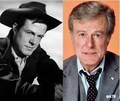 Who was the best detective/lawyer