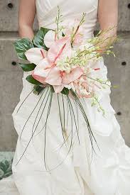 Check spelling or type a new query. 60 Bright Tropical Wedding Bouquets Tropical Wedding Bouquets Wedding Bouquets Tropical Wedding Flowers