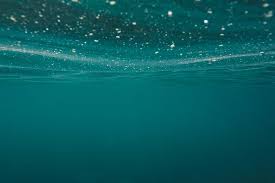 This is only available on rgb and hsl notations. Teal Wallpapers Free Hd Download 500 Hq Unsplash