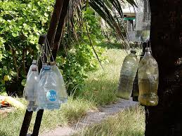 Image result for plašič krtků z pet lahve