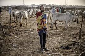 Creating a muslim forex account. Boko Haram Kill 19 Nigeria Herders In Clashes Arab News