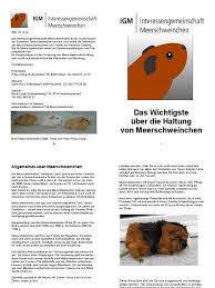 Ich würde dir aber dringend raten, dir nicht zu viele gedanken zu machen und jede kleine. Meerschweinchen