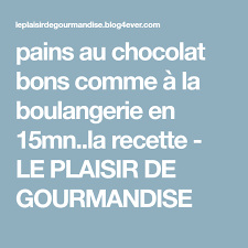 Epingle Sur Pain Au Chocolat