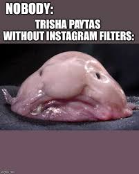 Trisha paytas is an internet celebrity, singer, songwriter, and author who first became famous through her youtube channel 'blndsundoll4mj'. Blobfish Imgflip