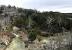 Colorado Bend State Park Swimming Hole