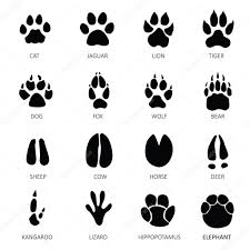 Look through examples of tierspuren translation in sentences, listen to pronunciation and learn grammar. Cow Foot Prints In Snow Image Search Results Tierspuren Buch Zeichnung Tiere