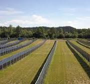 Agrivoltaics - Wikipedia