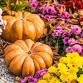 Fall Floral Design Class event image