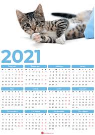 2021 Calendar With Cats Background In 2020 Cat Background Cats 2021 Calendar