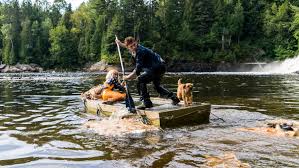 As if that were not enough, chaos walking liman chose charlie kaufman as one of the writers of this ambitious project that began in 2017 and it took them a few years to be able to perform the way they wanted. Chaos Walking 2021 Hollywood Movie Msmoviesbd