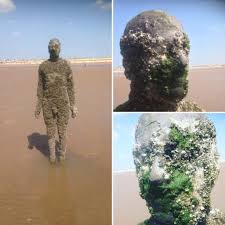 Great savings on hotels in liverpool, united kingdom online. Antony Gormley S Another Place Crosby Beach Liverpool England Creepy