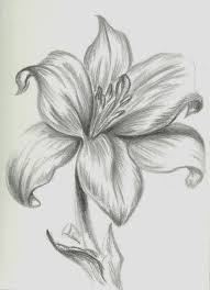 Pencil Drawing Flowers Images Pencildrawing2019 You can edit any of drawings via our online image editor before downloading. pencil drawing flowers images
