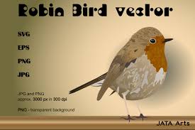 Download Robin Vector Bird Graphic Graphic By Jata Arts Creative Fabrica SVG Cut Files
