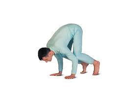Bakasana images and stock photos. Bakasana