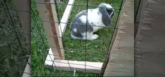 Consider replacing the zip ties. How To Build An Outdoor Rabbit Run Construction Repair Wonderhowto