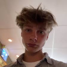 Jules Adrien Blanchet Swifts ⸆⸉ 🇧🇪