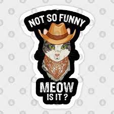We did not find results for: Funny Trooper Cowboy Cat Not So Funny Meow Is It Trooper Not So Funny Meow Is It Aufkleber Teepublic De