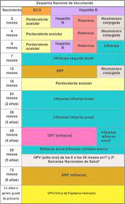 Calendario, grupos, tipos de vacuna. Pin En Salud