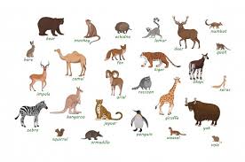 No one would ever change this animal i have become. Wild Animals Images Free Vectors Stock Photos Psd