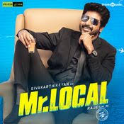 Mr Local Songs Mp3 Song Album Songs