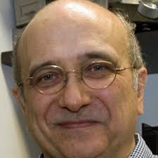 eva a naumann (@evaaimable)