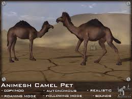 Pet camels require protection from extreme weather conditions such as heavy rains and direct sun. Second Life Marketplace Facedesk Animesh Camel Pet Roaming Autonomous Lifelike