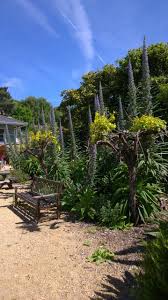 Ventnor Botanic Gardens Isle Of Wight Scenery Seaside Resort