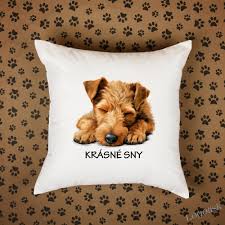 Image result for velšteriér