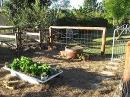 How do i make a no dig garden. How To Build A No Dig Garden