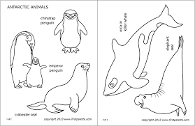 Antarctic Polar Animals Free Printable Templates Coloring Pages Firstpalette Com Antarctic Animals Polar Animals Arctic Animals Printables