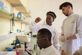 Jeune scientifique camerounais en pleine recherche en laboratoire