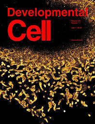 Whats people lookup in this blog: Moerner Lab