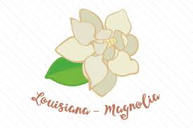 Svg ai free vector svg decoration element style decorative color symbol colorful icon background ornament template decor collection floral artistic flower shape ornamental outline object ornate artwork pattern bright sketch abstract vector background beautiful almost files can be used for commercial. State Flower Louisiana Magnolia Svg Cut File By Creative Fabrica Crafts Creative Fabrica