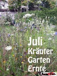 Gartenernte Im Juli Naschen Pflegen Freuen Mami Rocks In 2020 Garten Familiengarten Nutzgarten Anlegen