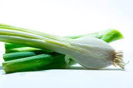 Growing Hydroponic Spring Onions A Full Guide Gardening Tips