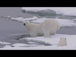 القطب الجنوبي درجات حرارة قياسية تتجاوز الـ20 درجة مئوية بشهر. Ø§Ù„Ù‚Ø·Ø¨ Ø§Ù„Ø´Ù…Ø§Ù„ÙŠ Ø¯Ø±Ø¬Ø§Øª Ø§Ù„Ø­Ø±Ø§Ø±Ø© ØªØ³Ø¬Ù„ Ø£Ø¹Ù„Ù‰ Ù…Ø³ØªÙˆÙŠØ§ØªÙ‡Ø§ Ù…Ù†Ø° 115 Ø³Ù†Ø© Youtube
