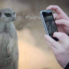Based on the content of your image an optimal strategy is chosen. Zum Mailen Anpassen Smartphone Fotos Verkleinern Multimedia