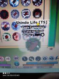 1 biography 1.1 war against. What The Shindo Life
