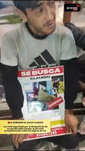 Se robaron al gallo claudio en Ica. #gallo #galloclaudio #abcica  #abcnoticiasica