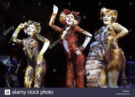 Cats Musical Costume High Resolution Stock Photography And Images Alamy
