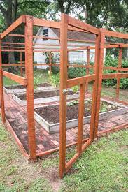 This can be in the form of food or water. How To Build A Squirrel Proof Enclosure For Your Veggie Garden